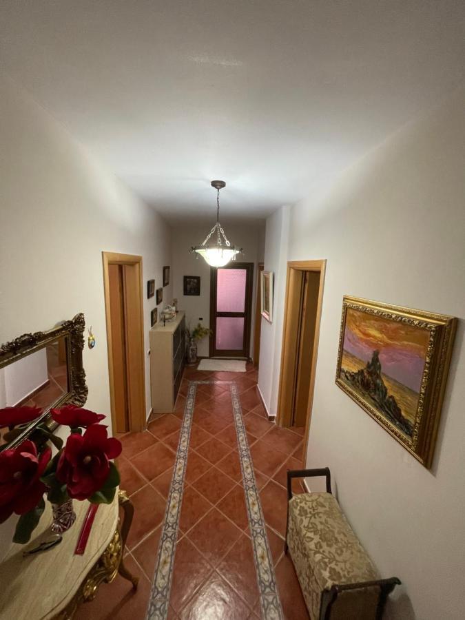 Venus - Cozy Apt With Terrace Avlonya Dış mekan fotoğraf