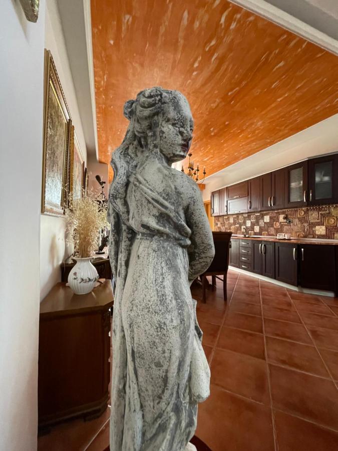 Venus - Cozy Apt With Terrace Avlonya Dış mekan fotoğraf